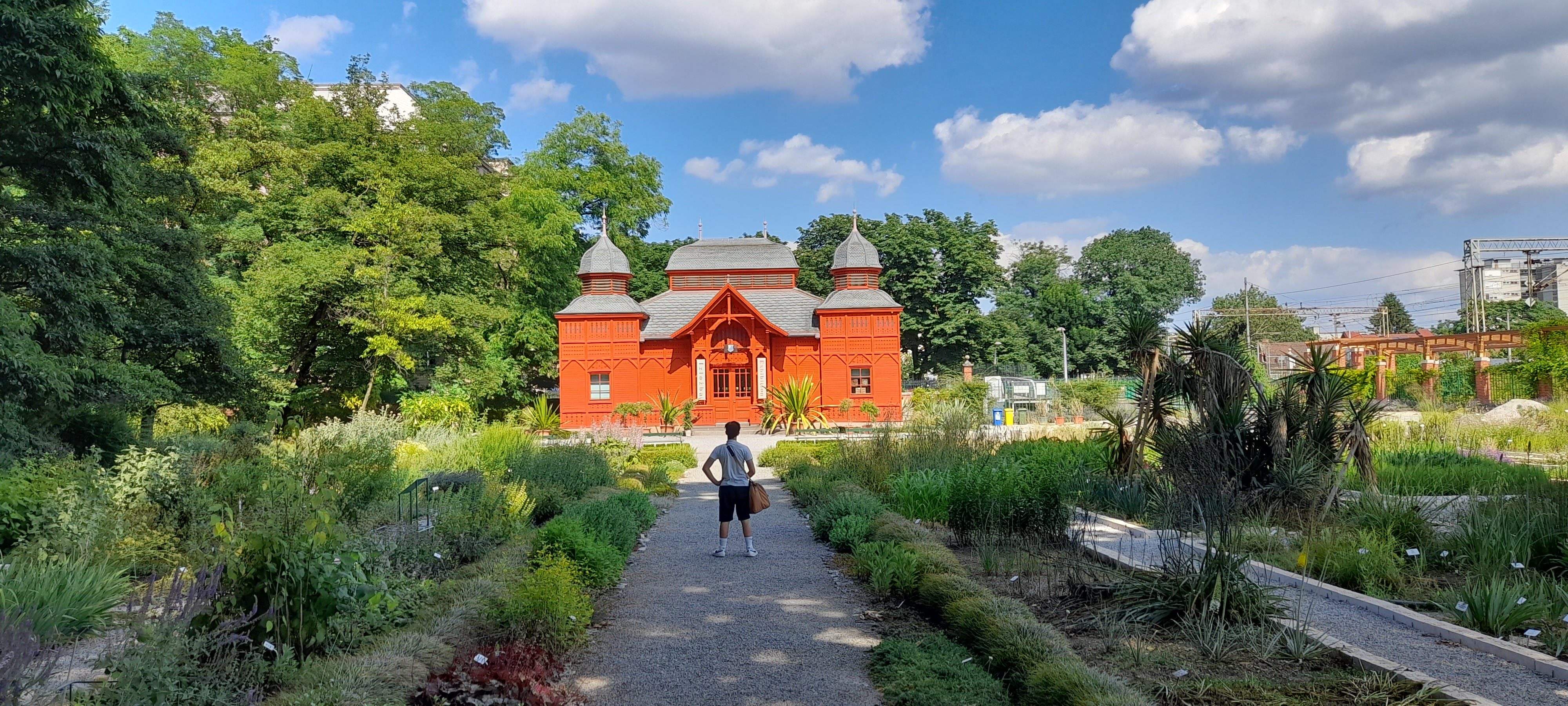 Collaborazione in ufficio