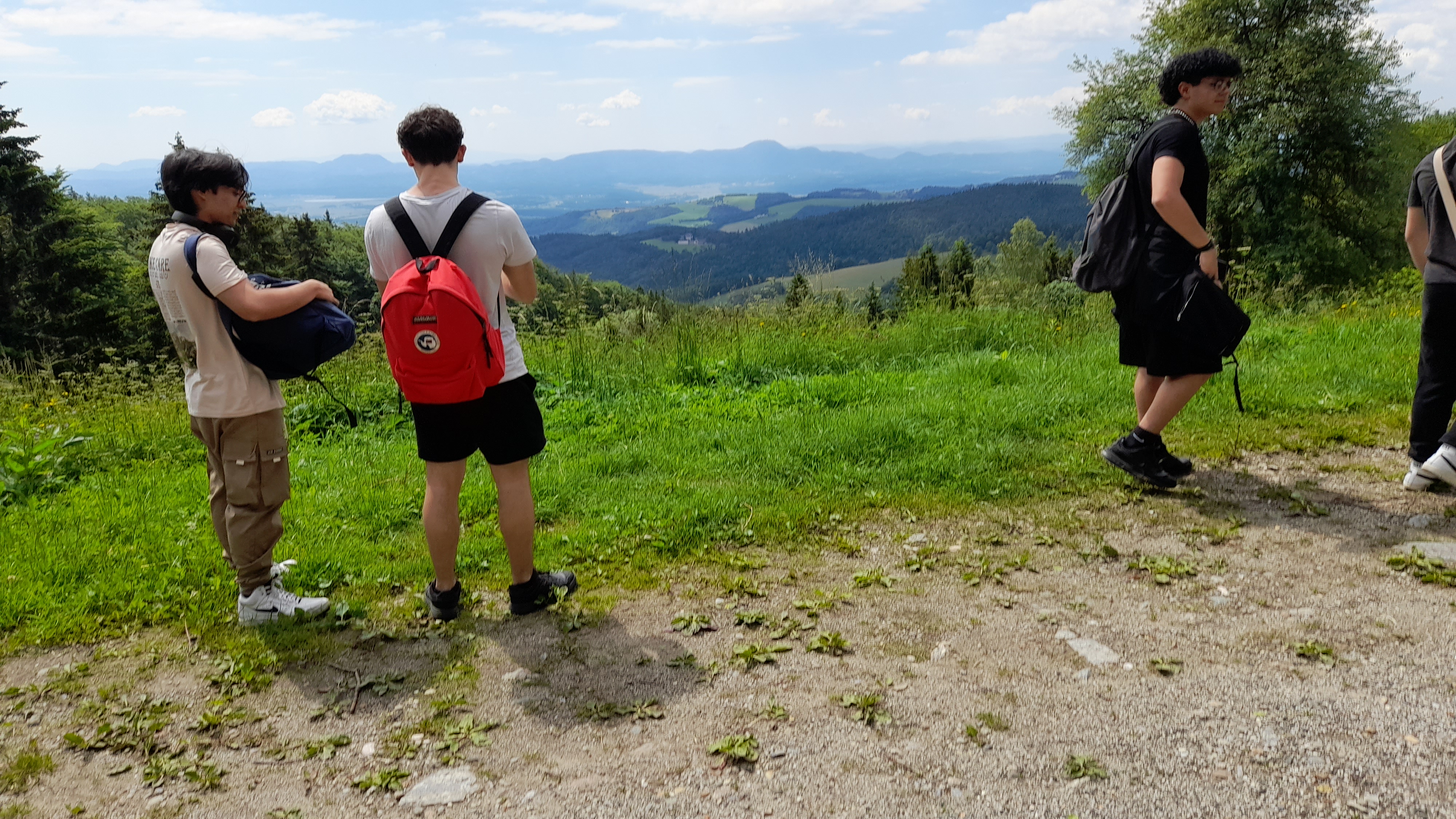 Discussione di gruppo