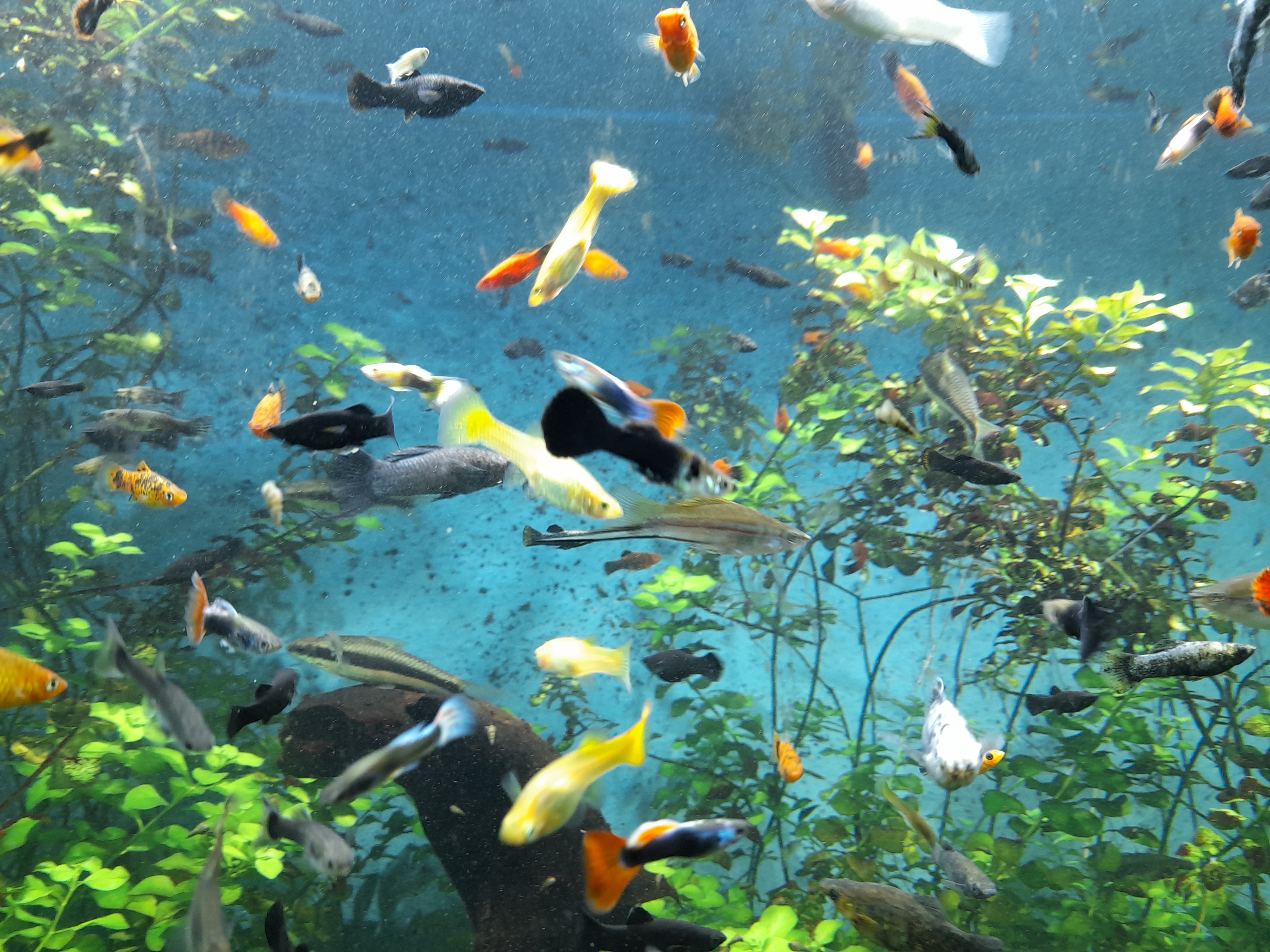 Sessione di brainstorming