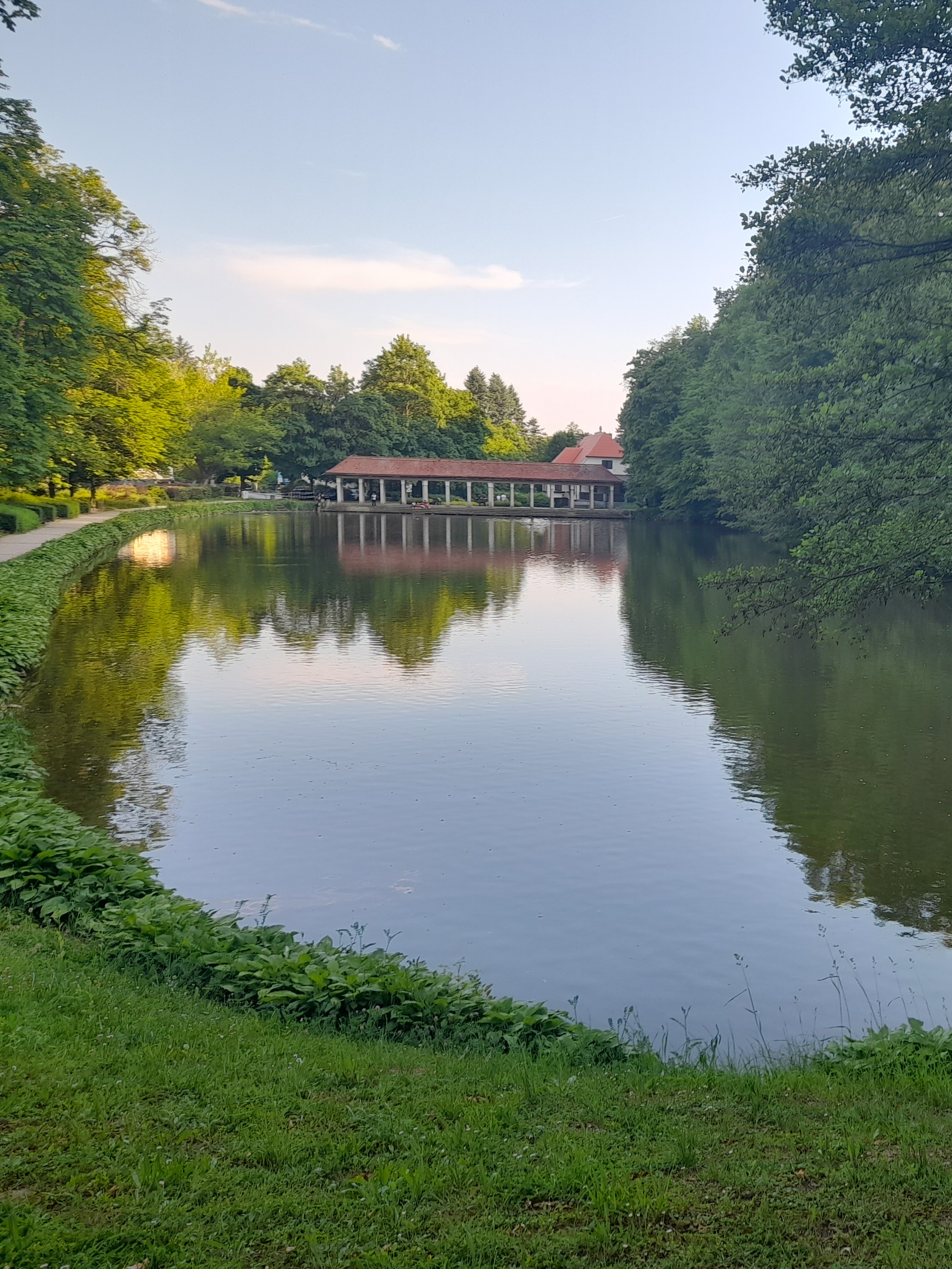 Collaborazione in ufficio